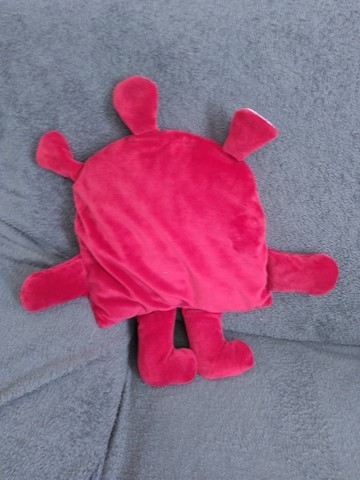 Mange-soucis rouge et rose