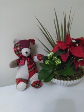 Nounours assis petit modèle rouge écossais