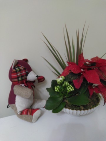 Nounours assis petit modèle rouge écossais