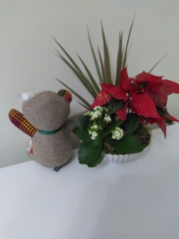 Nounours assis multi-matières Madras rouge et vert