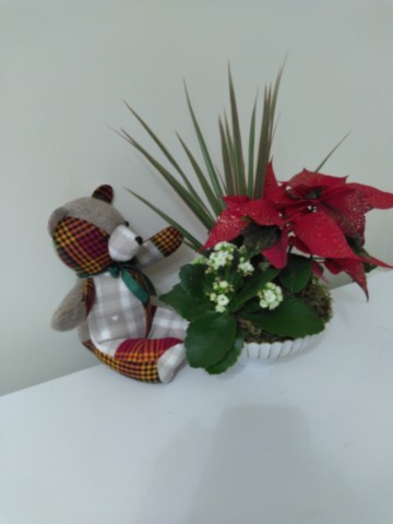 Nounours assis multi-matières Madras rouge et vert